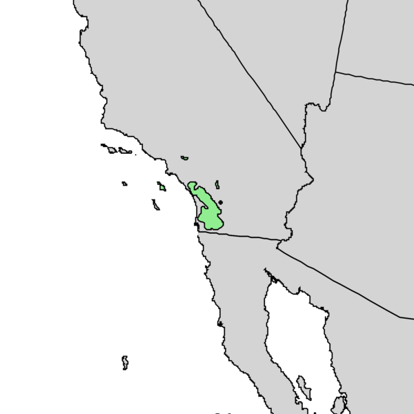 Файл:Quercus engelmannii range map 1.png