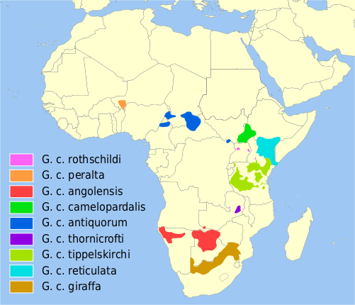 Файл:Giraffa camelopardalis distribution.svg
