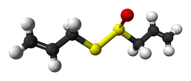 Файл:R-allicin-3D-balls.png