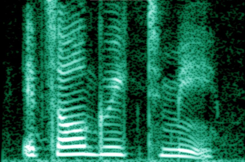 Файл:Human voice spectrogram.jpg