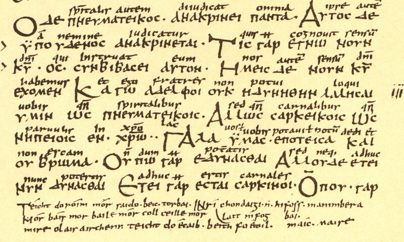 Файл:Irish Verse in Codex Boernerianus.JPG
