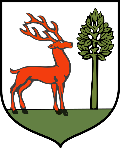Файл:POL Bukowsko COA old.svg