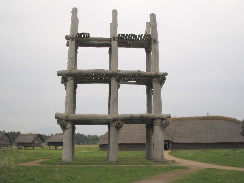 Файл:Reconstructed Pillar Supported Structure.jpg