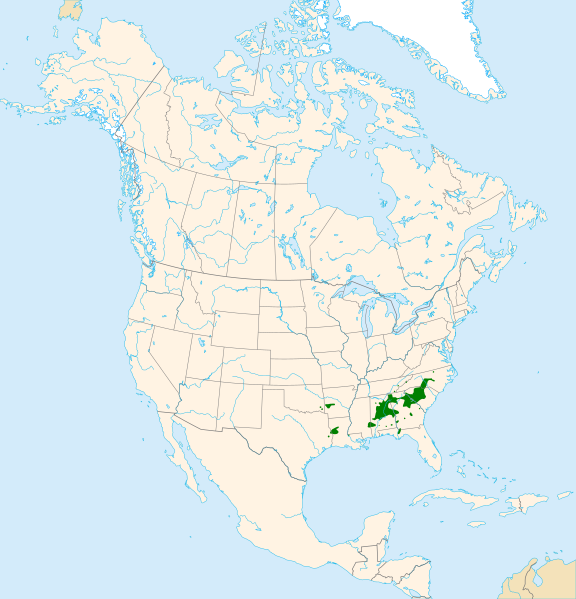 Файл:Acer leucoderme range map.svg