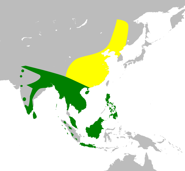 Файл:CuculusMicropterusMap.svg