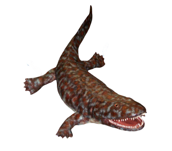 Файл:Ichthyostega model-removebg.png