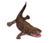 Ichthyostega sp.
