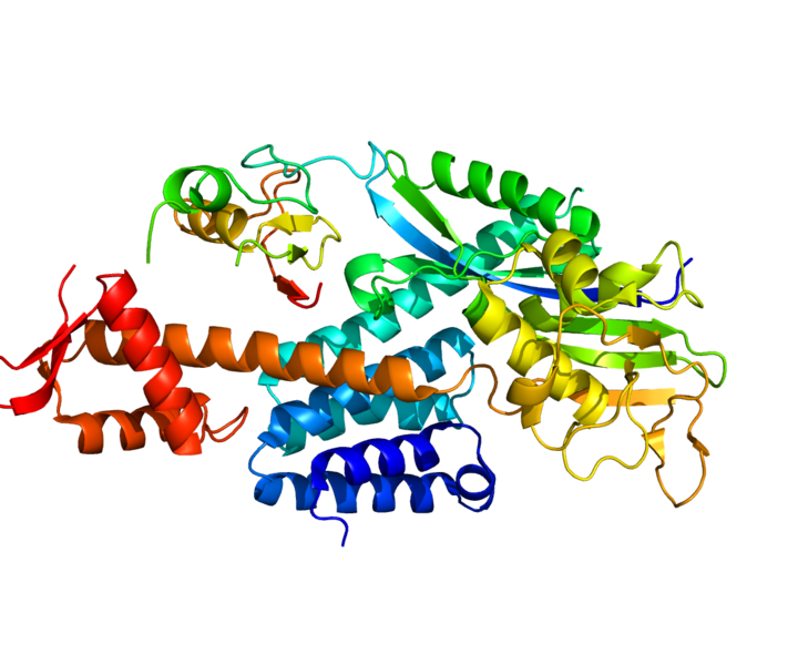 Файл:Protein CUL5 PDB 3DPL.png