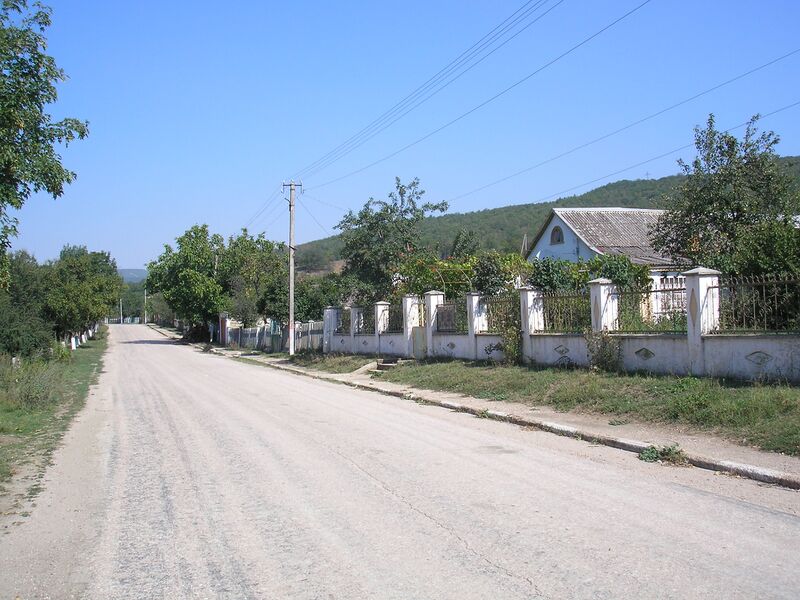 Файл:Sinapnoe 2.JPG