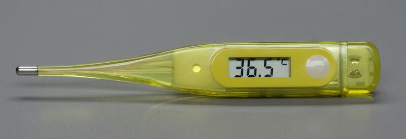 Файл:Fieberthermometer BW 2.JPG