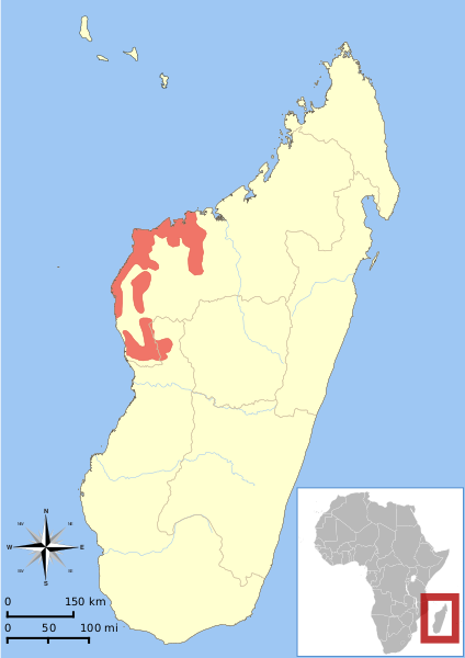 Файл:Propithecus deckenii range map.svg