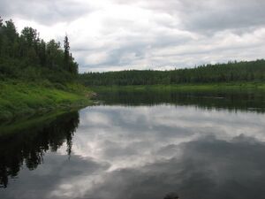 река Бахта в июле