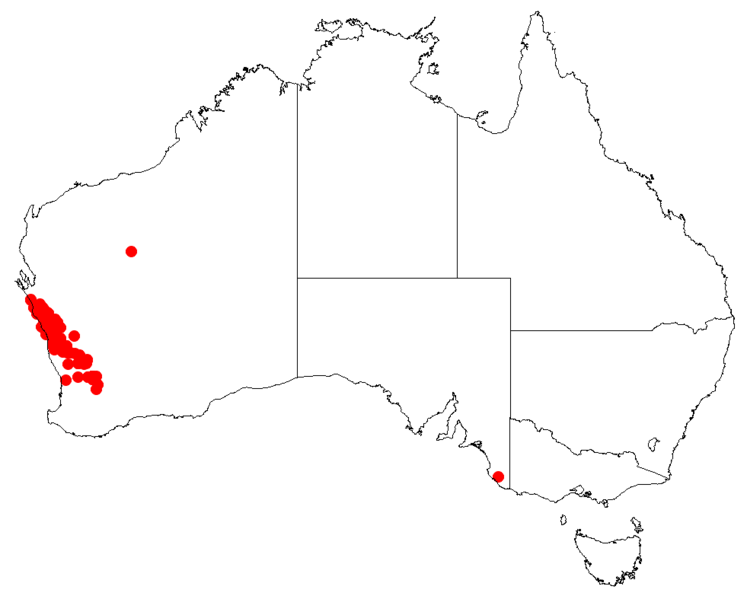 Файл:Hakea circumalataDistMap22.png