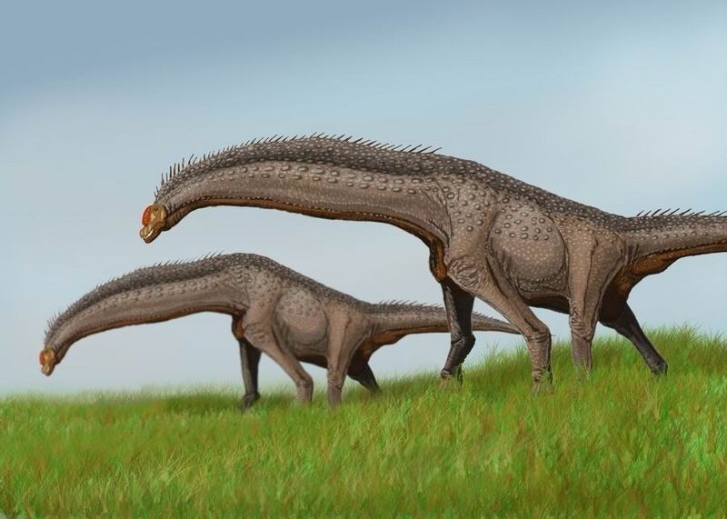 Файл:Isisaurus DB.jpg