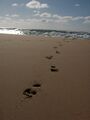Миниатюра для версии от 18:28, 29 июля 2024