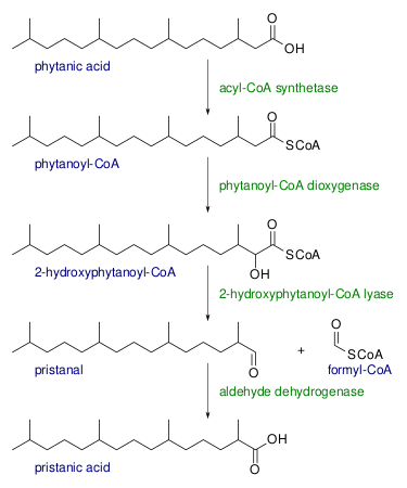 Файл:Alpha oxidation.svg
