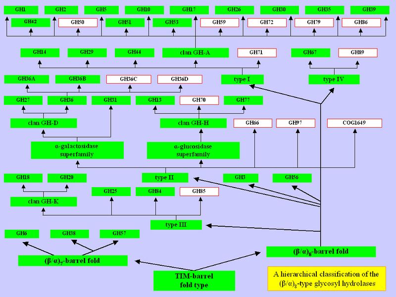 Файл:GH classification.jpg