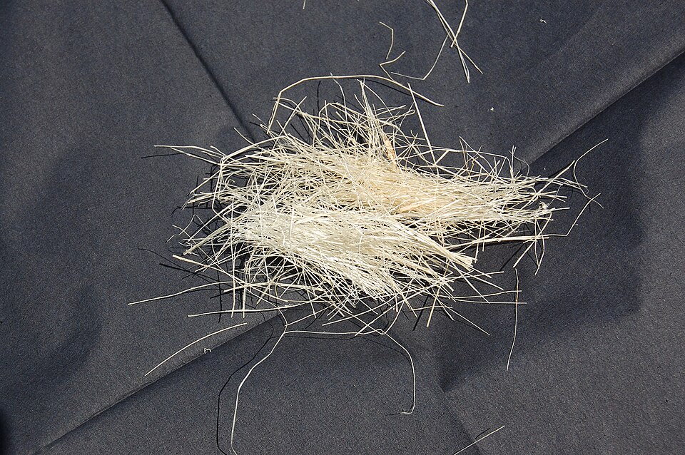 Файл:Sisal fibres.JPG