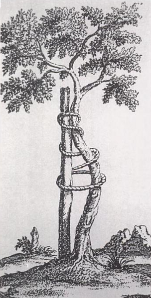 Файл:Andry tree.png