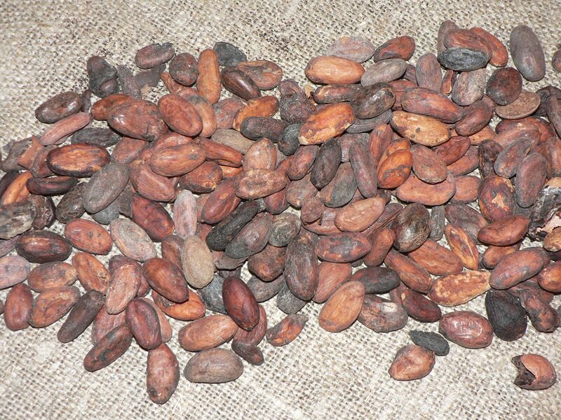 Файл:Cocoa beans P1410151.JPG