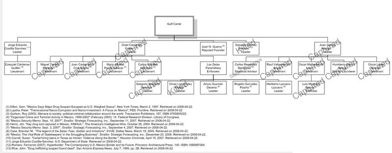 Файл:Gulf Cartel Hierarchy.JPG