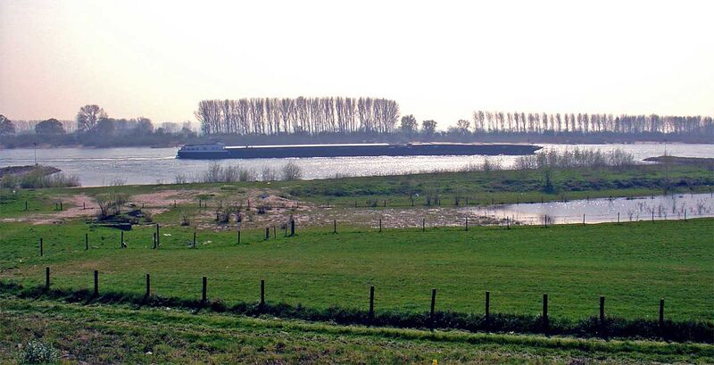 Файл:Rhine, Spijk, Netherlands.jpg