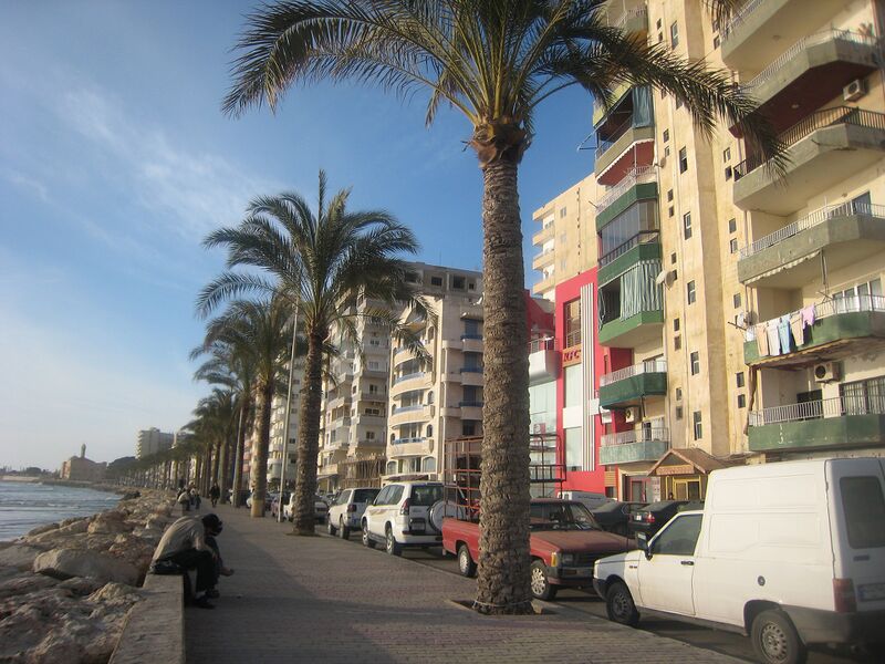 Файл:Tyre2009b.JPG