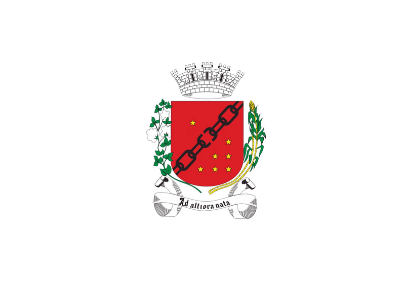 Файл:BandeiraSeteLagoas.png