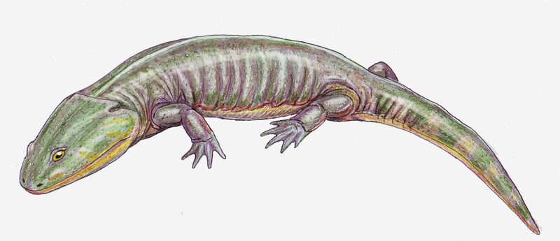 Файл:Apachesaurus1DB.jpg