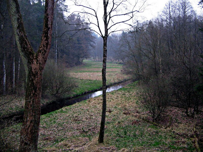 Файл:Bomlitztal Eibia.jpg