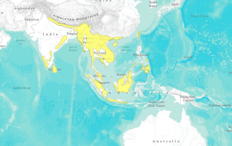 Файл:Crested Goshawk map.jpg