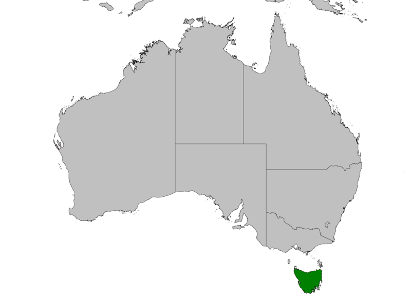Файл:Dasyurus viverrinus distribution map.PNG