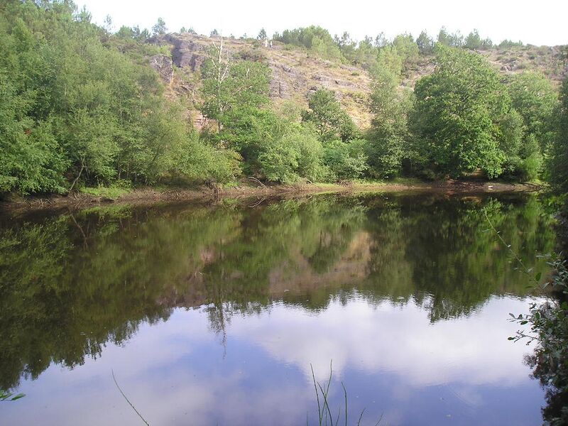 Файл:Miroir aux fees.JPG