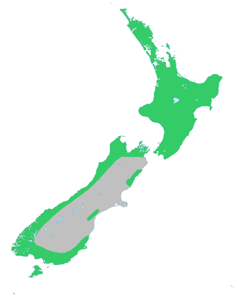 Файл:Rimu-natural-range.png