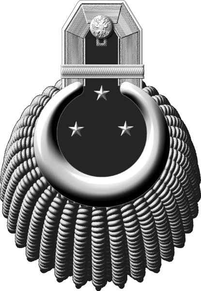 Файл:1904mmed-e17.png