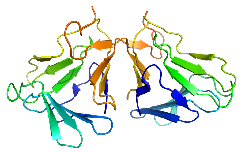 Файл:Curculin 2DPF.png