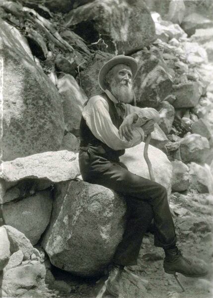 Файл:John Muir Cane.JPG