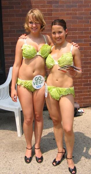Файл:PETA Lettuce Ladies.JPG