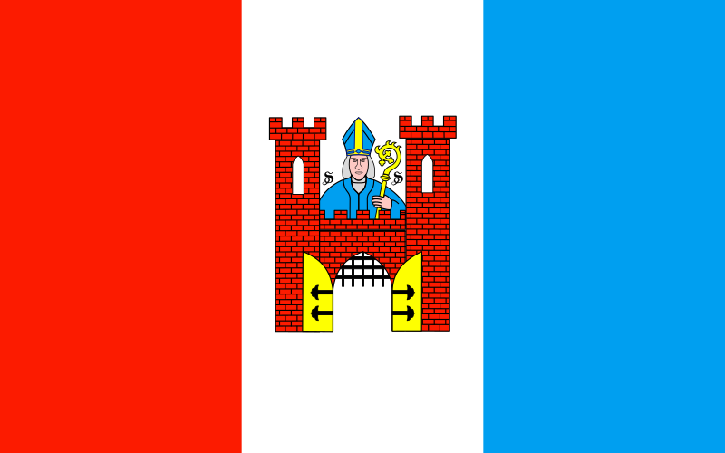 Файл:POL Solec Kujawski flag.svg