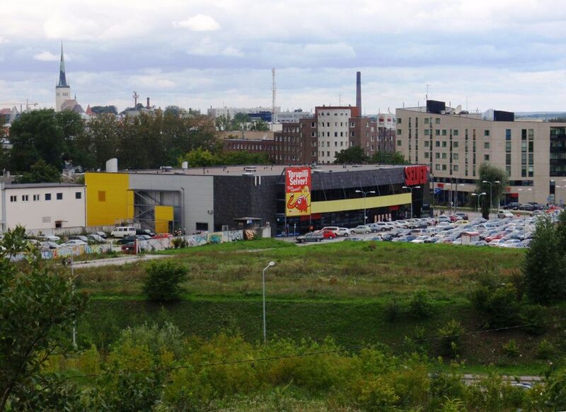 Файл:TLN-2008-Torupilli Selver.JPG