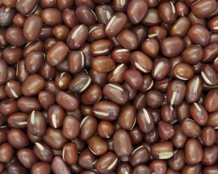 Файл:Azuki Beans.jpg