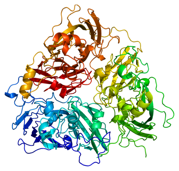 Файл:Protein CP PDB 1kcw.png