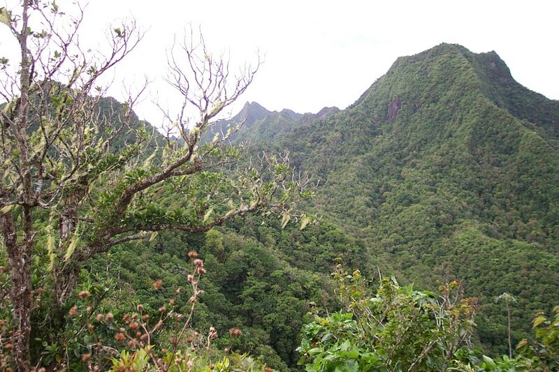 Файл:Rarotonga Island interior.jpg