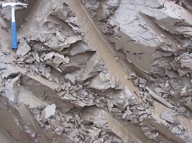 Глины четвертичного периода (Эстония)