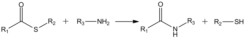 Файл:FormationofAmides.png