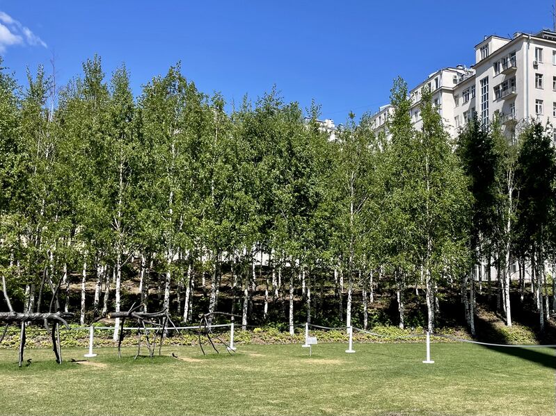 Файл:GES-2 forest.jpg