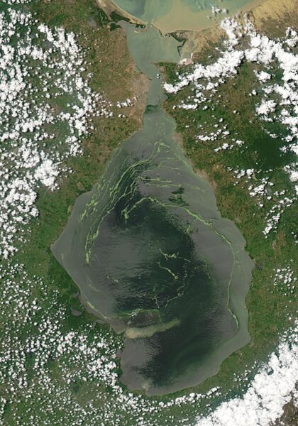 Файл:Maracaibo MODIS 2004jun26.jpg
