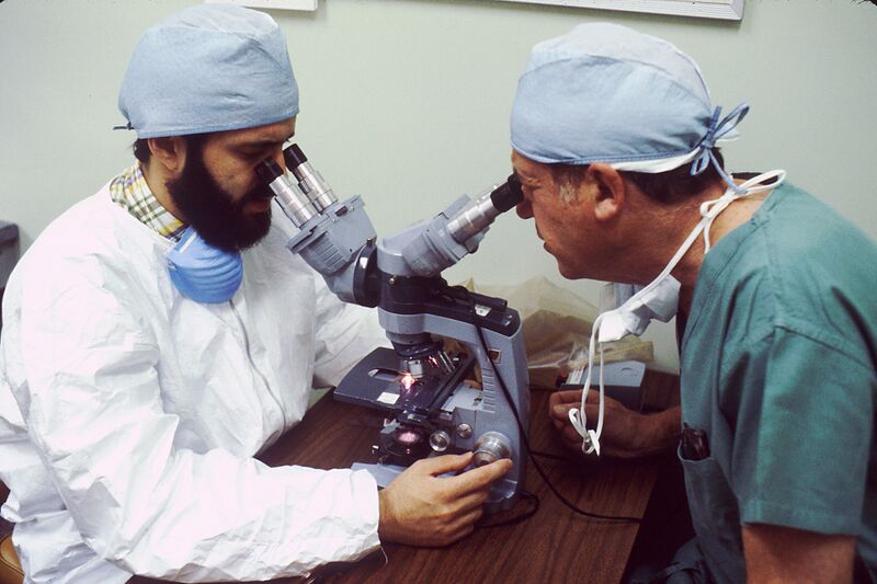 Файл:Pathologists looking into microscopes (1).jpg