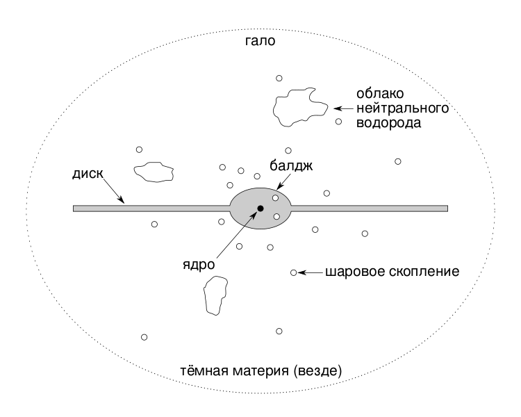 Файл:SpiralGalaxySchemeSideView ru.svg