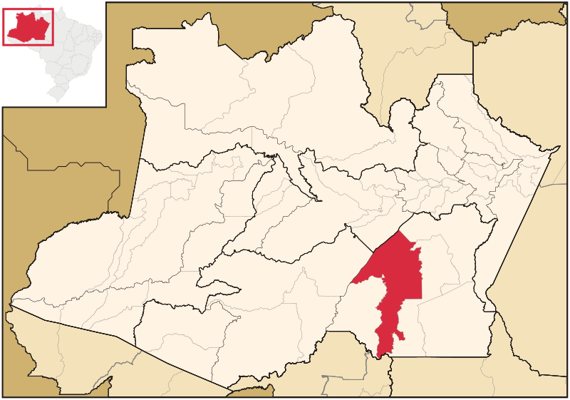 Файл:Amazonas Municip Manicore.svg